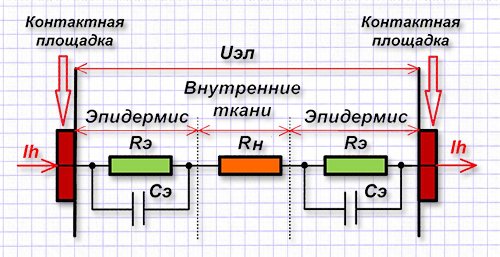 Электрическое тело и выращенная кожа. Киберлюди